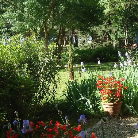 Au Bord De Thau Marseillan (Herault)