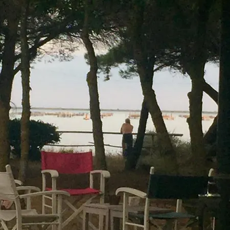 Au Bord De Thau Marseillan (Herault)