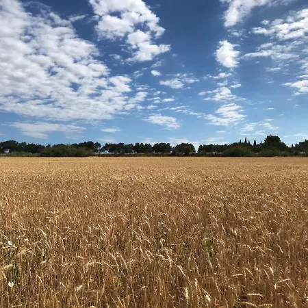 Au Bord De Thau 3* Marseillan (Herault)