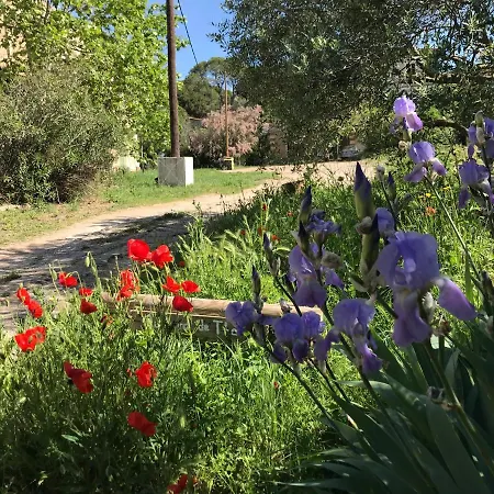 Bed & Breakfast Au Bord De Thau