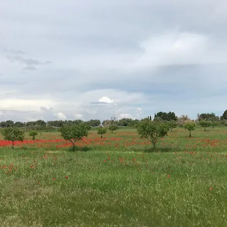 Au Bord De Thau Frühstückspension Marseillan (Herault)