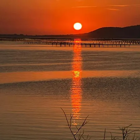 Au Bord De Thau Marseillan (Herault)