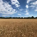 Au Bord De Thau 3* Marseillan (Herault)