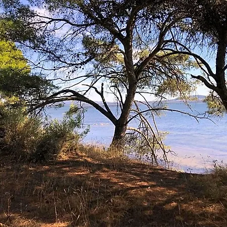 Au Bord De Thau Frühstückspension Marseillan (Herault)
