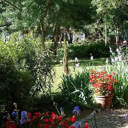 Frühstückspension Au Bord De Thau