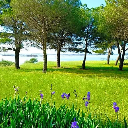 Au Bord De Thau 3* Marseillan (Herault)