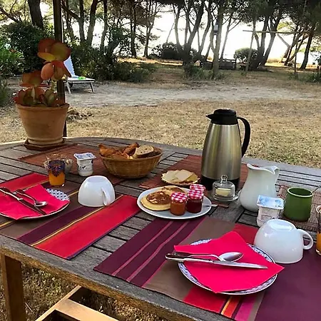 Au Bord De Thau Marseillan (Herault)